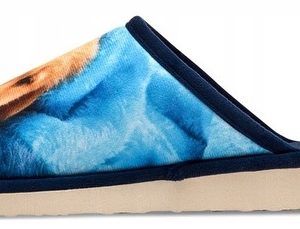 Women's Slippers Meteor Śpiący DV120 - Image 3